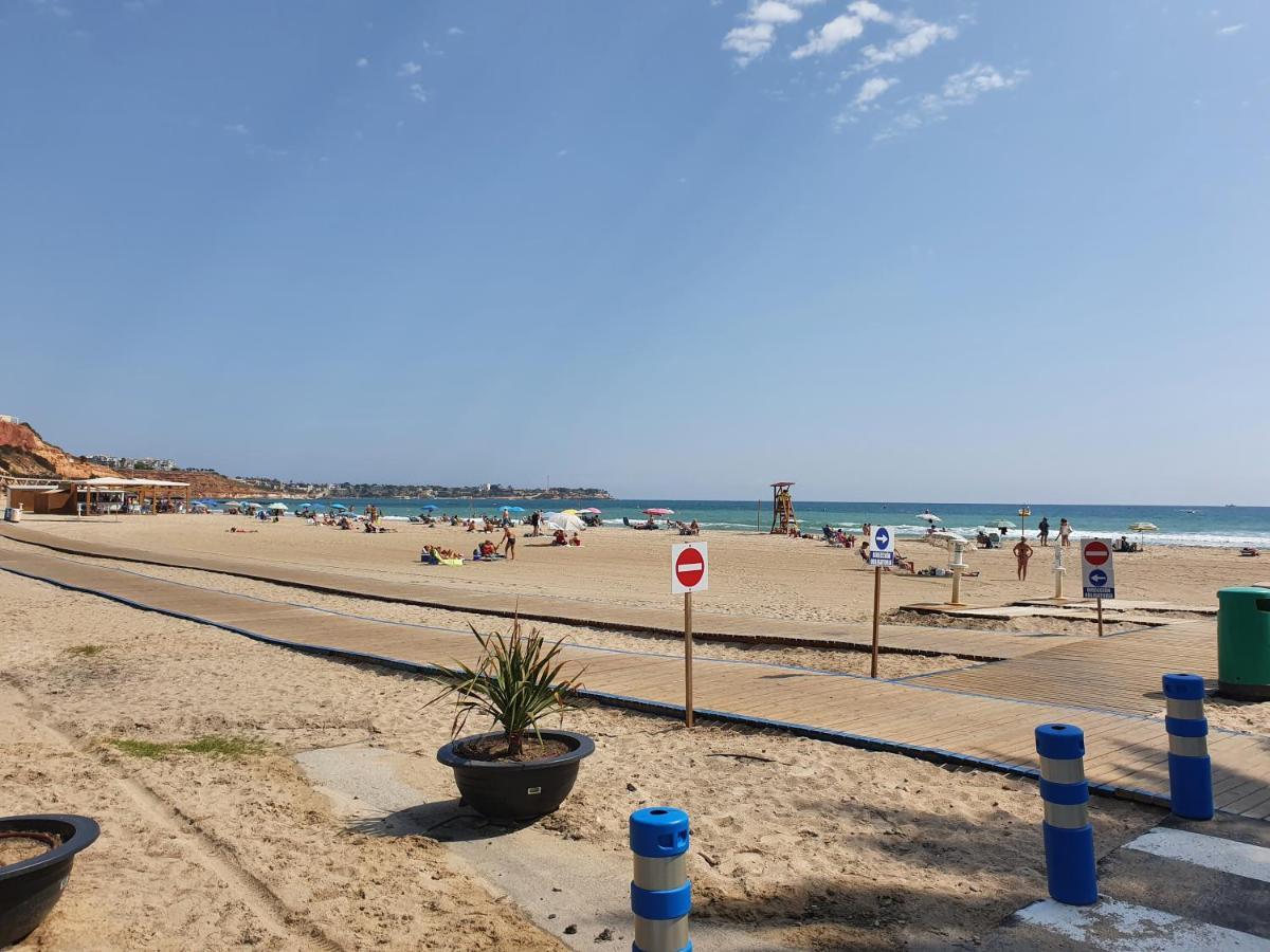 Apartment In Campoamor Overlooking The Swimming Pool Ngoại thất bức ảnh